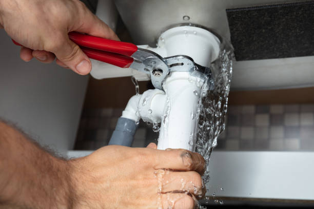 Best Flooded house restoration  in Rogers City, MI