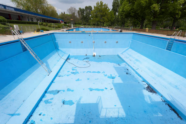 Best Water damage restoration company  in Rogers City, MI