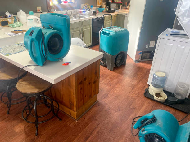 Best Local water damage restoration  in Rogers City, MI