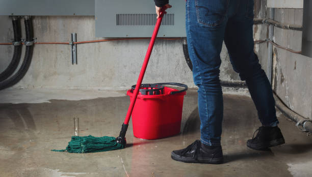 Best Basement water damage restoration  in Rogers City, MI