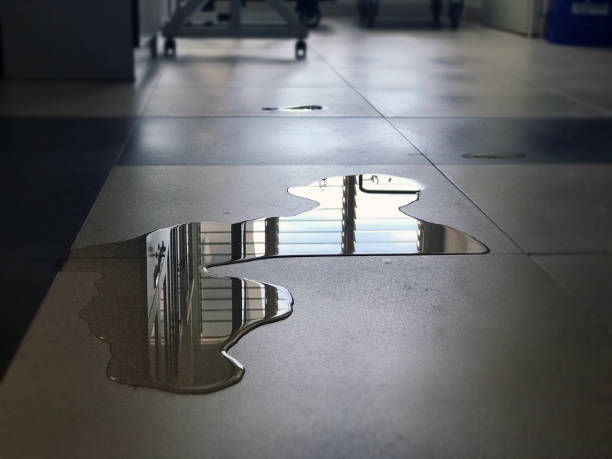 Best Commercial water damage restoration  in Rogers City, MI