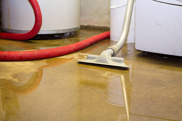 Best Water damage restoration near me  in Rogers City, MI