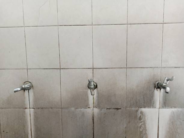 Best 24-hour water damage restoration  in Rogers City, MI