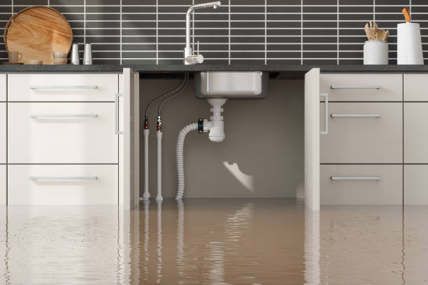 Best Water damage restoration specialists  in Rogers City, MI