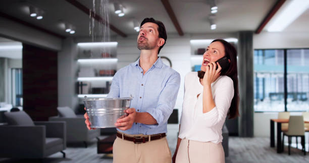 Best Commercial water damage restoration  in Rogers City, MI