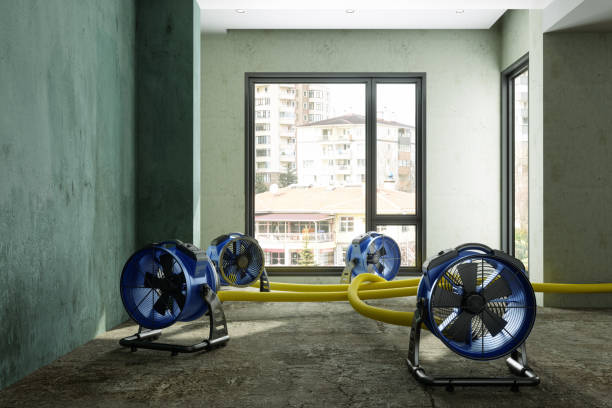 Best Flood restoration services  in Rogers City, MI